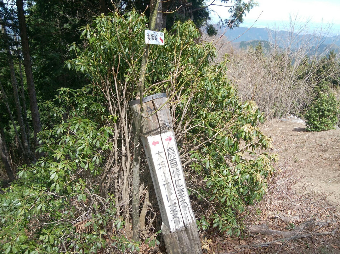 Shoulder of Mt. Omochi景点图片