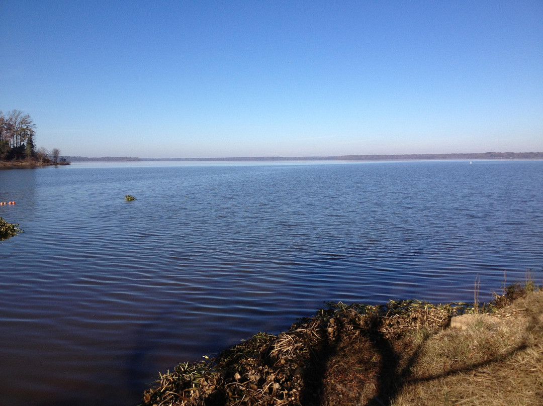 Atlanta旅游攻略图片