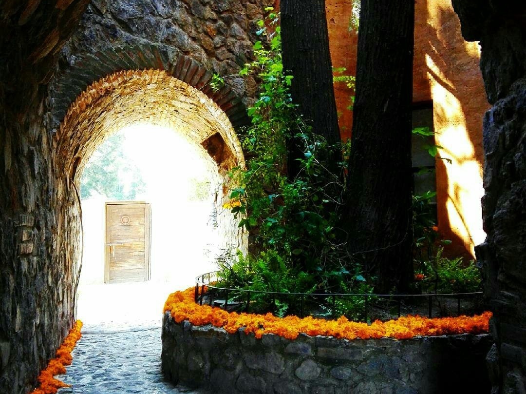 Nativitas旅游攻略图片