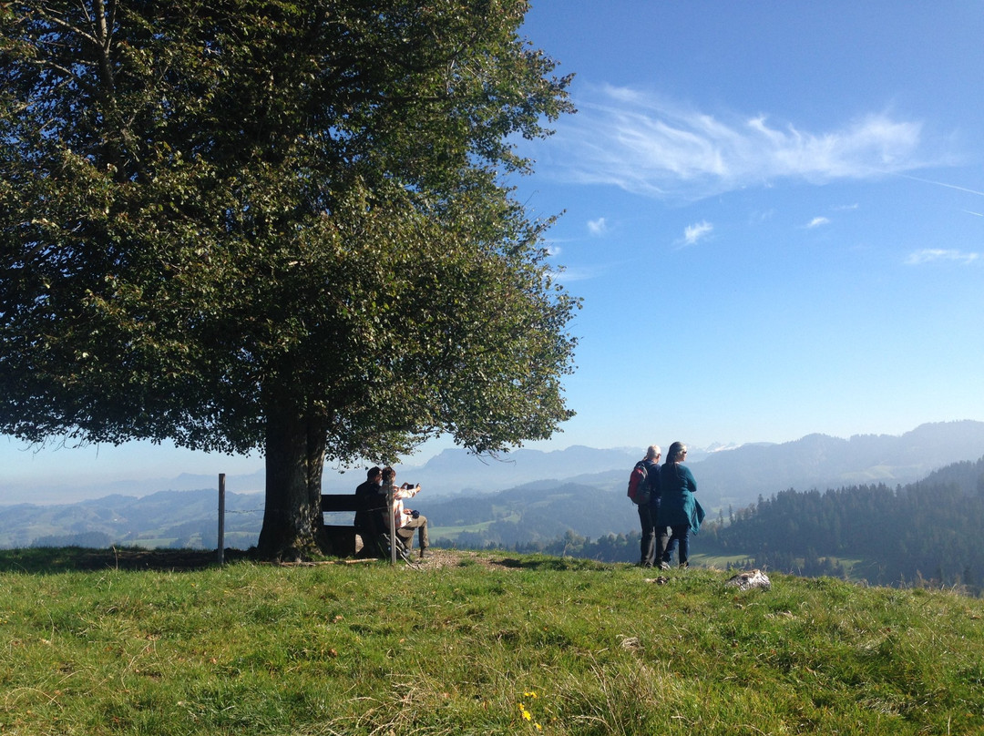 Eriswil旅游攻略图片