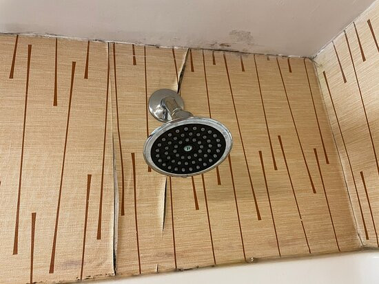 Holiday Inn Express & Suites Bowling Green By IHG主图