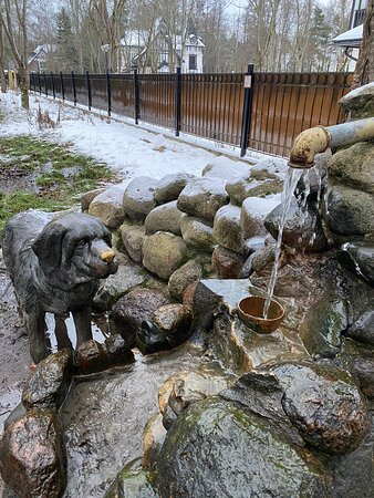 St. Bernard Dog Statue-泽列诺戈尔斯克必去景点