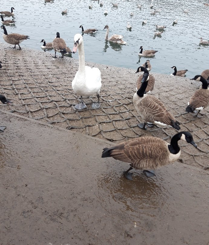 Moses Gate Country Park景点图片
