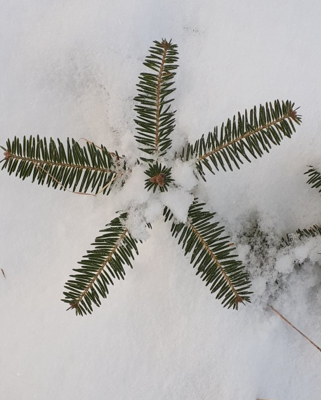 Whiteshell Provincial Park-Whiteshell Provincial Park必去景点