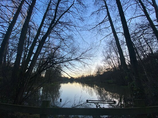 High Woods Country Park景点图片