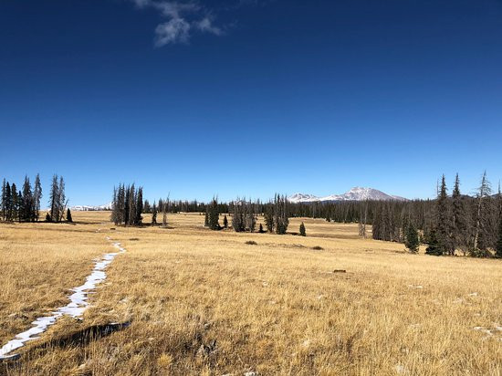 Soldierstone Vietnam War Memorial-Saguache必去景点