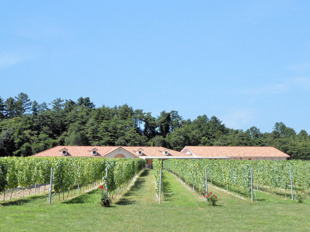 Azumino Winery景点图片