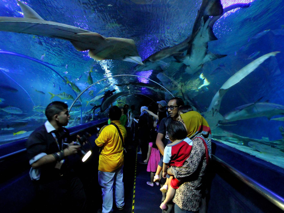 吉隆坡城中城水族馆景点图片