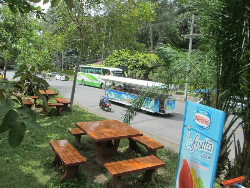 Singora Tram Tour景点图片