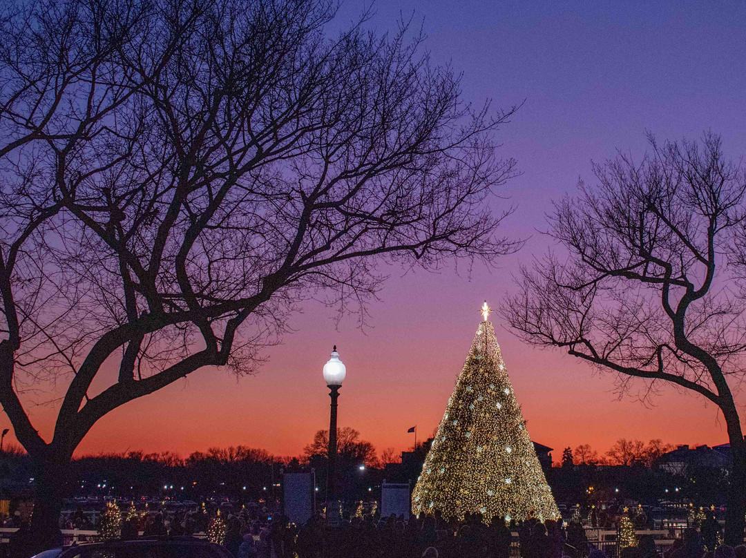 National Christmas Tree景点图片