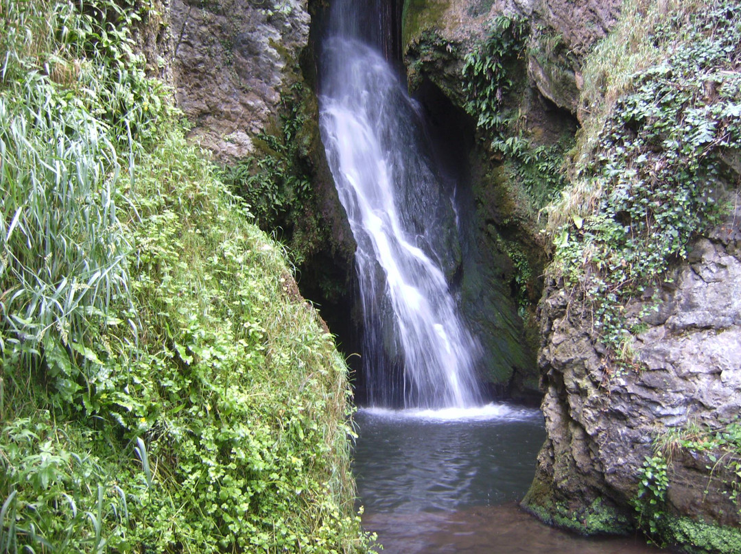 Dyserth Waterfall景点图片