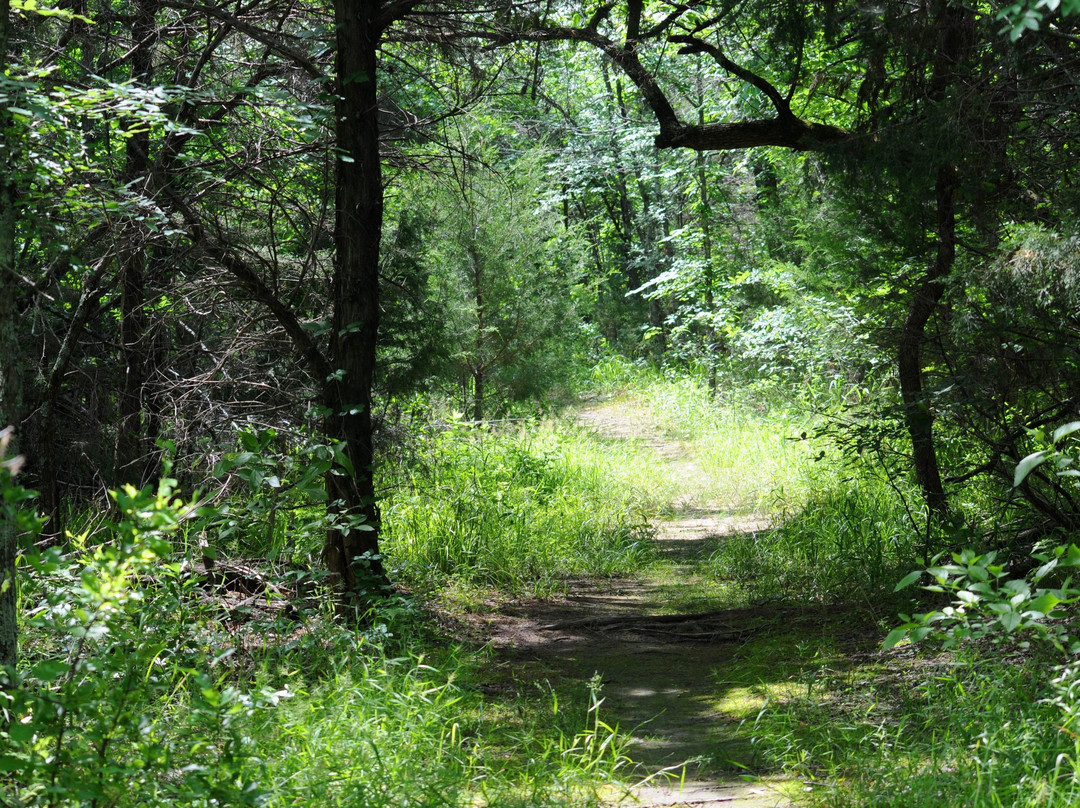 Lake Tawakoni State Park-Wills Point必去景点