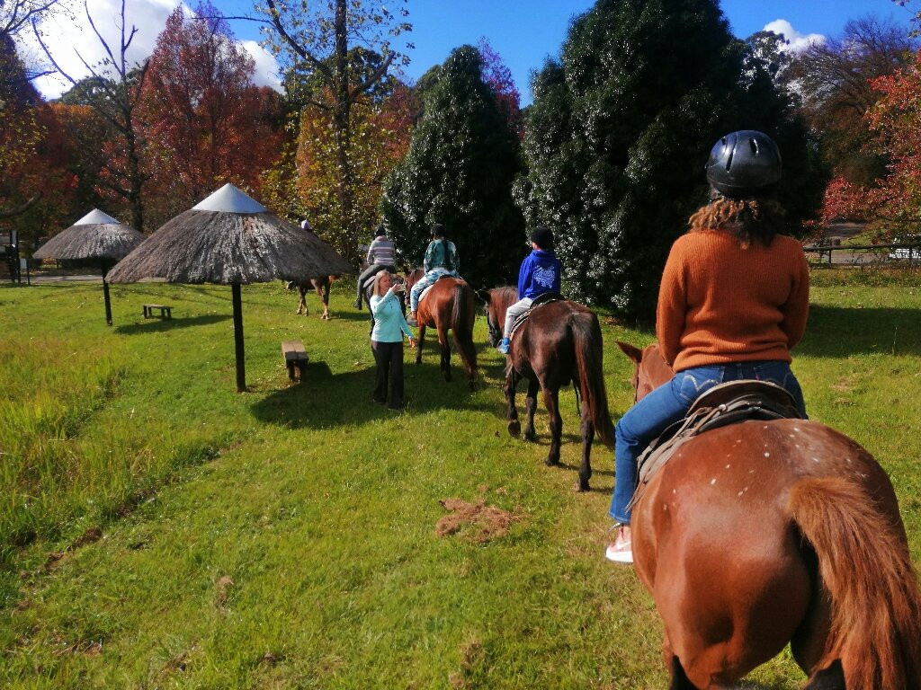 Dragon Peaks Horse Riding
