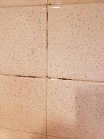 Ramada by Wyndham Grand Forks主图