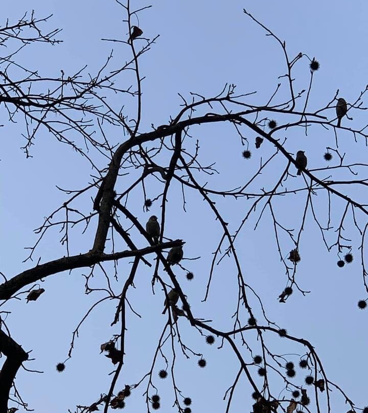 杭州西湖-杭州市必去景点