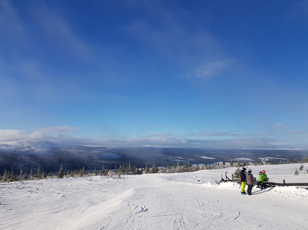 Lofsdalen旅游攻略图片