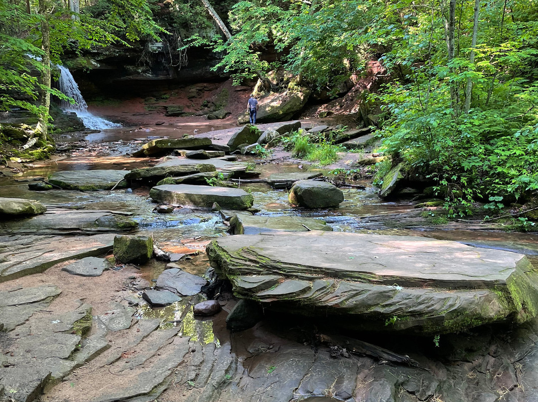 Lost Creek Falls景点图片