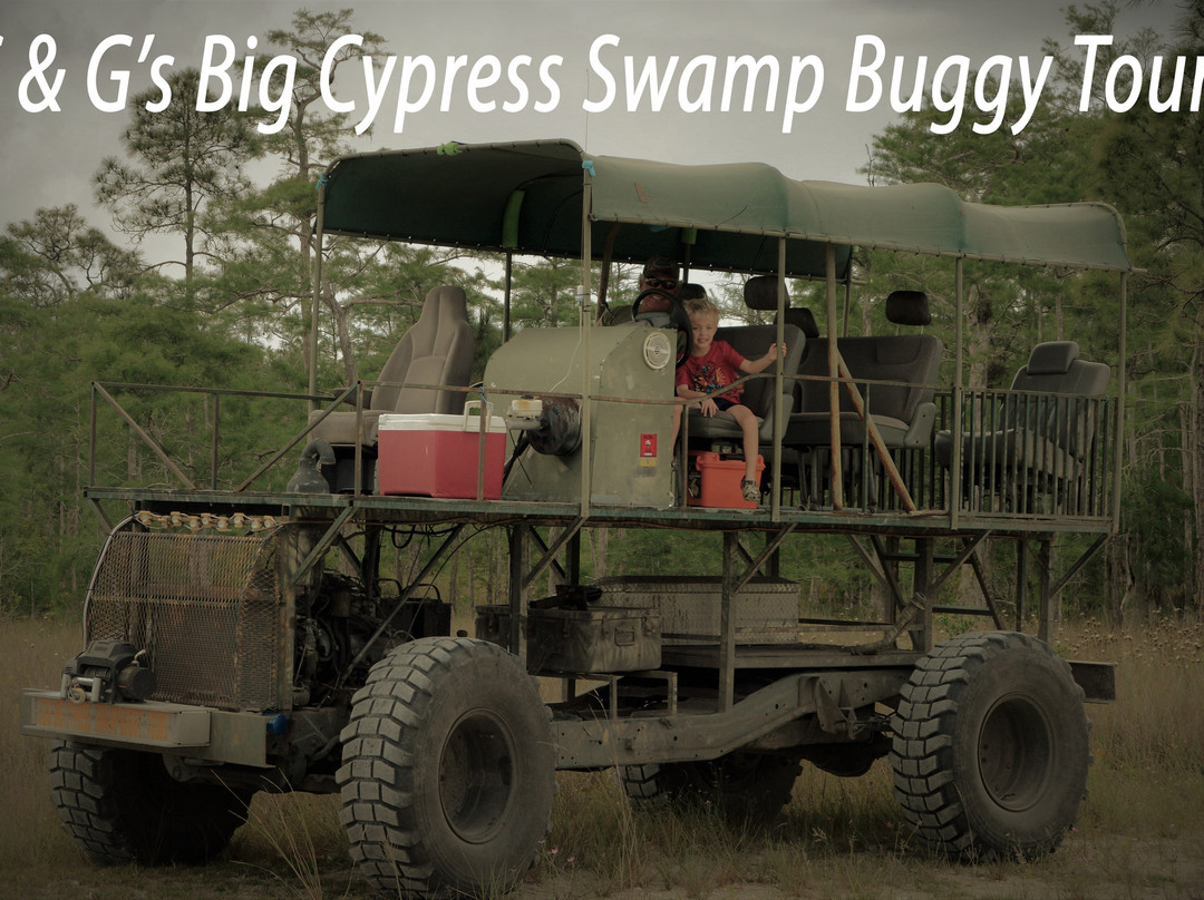 C&G's Big Cypress Swamp Buggy Tours景点图片