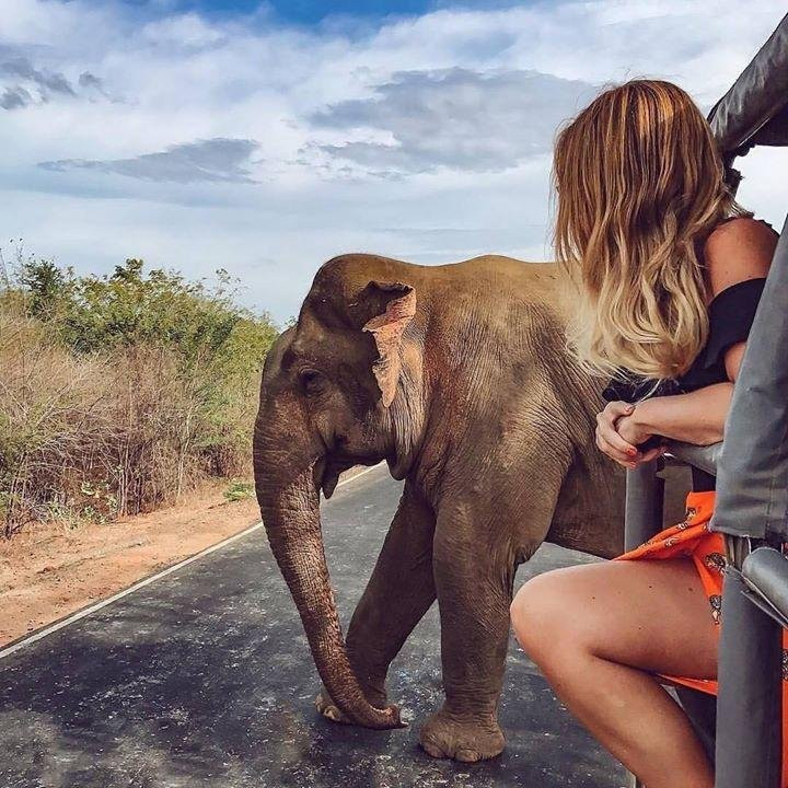 Thambapanni Travel Company-锡吉里亚必去景点