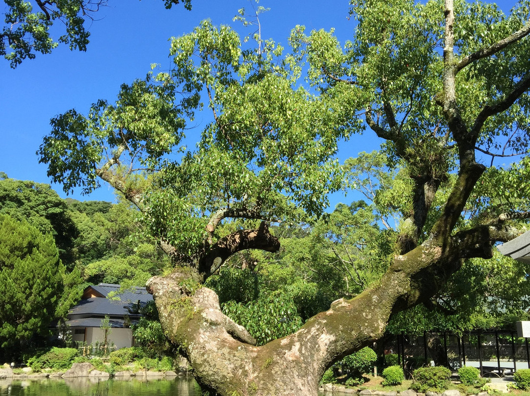 Munakata Taisha Hetsugu Shrine景点图片