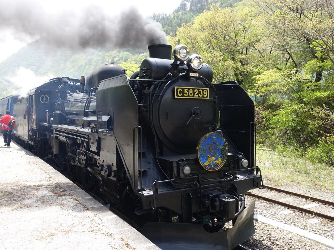 Kamaishi Railway Line景点图片