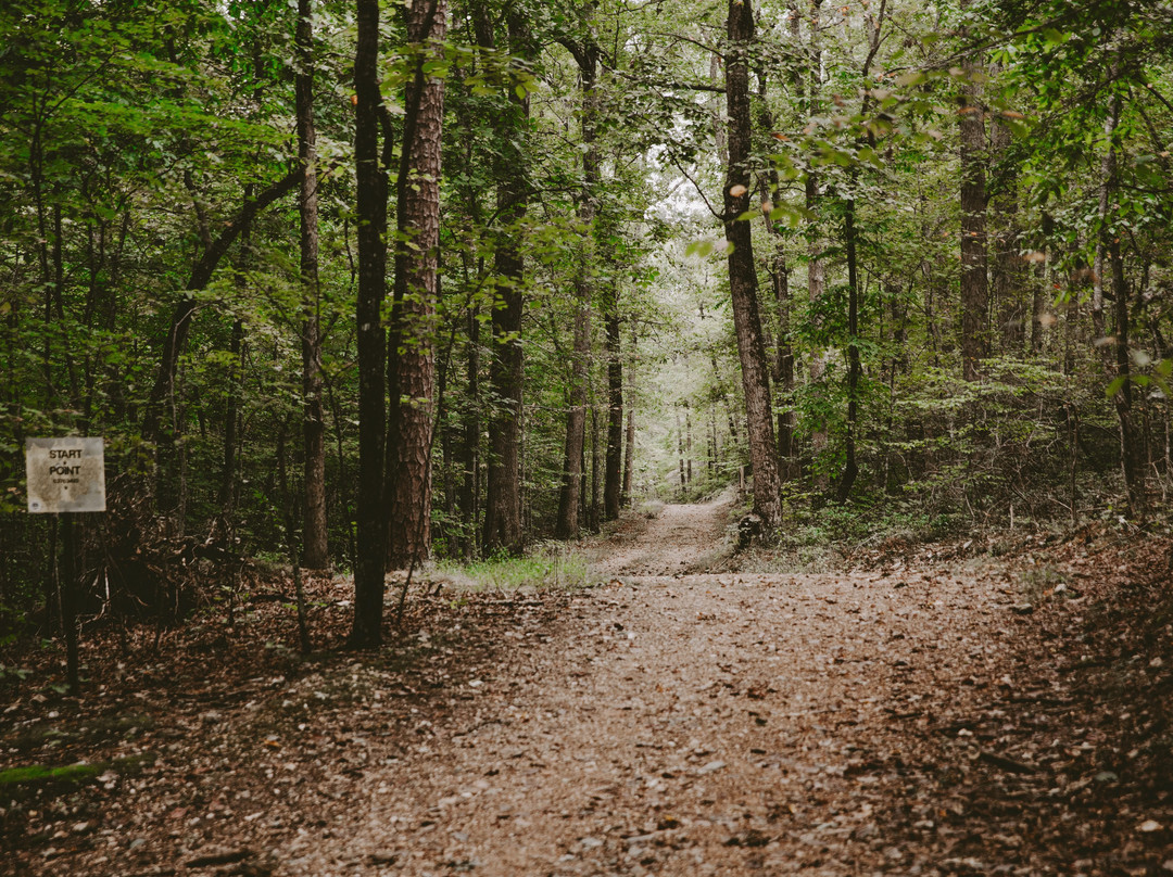 Liberty Mountain Trail System