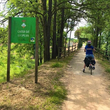 Peggy van den Boogaard