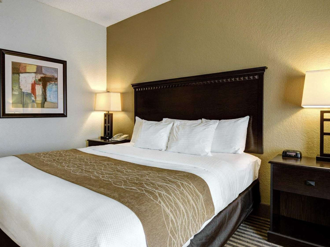 Comfort Inn & Suites主图