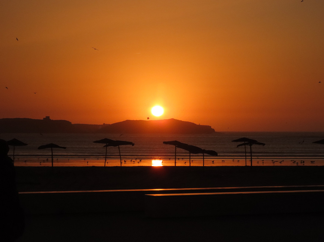 China Odyssey Tours Huangshan-黄山市必去景点