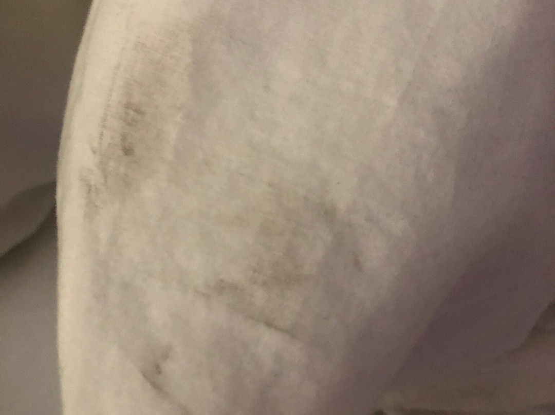 Country Hearth Inn & Suites主图