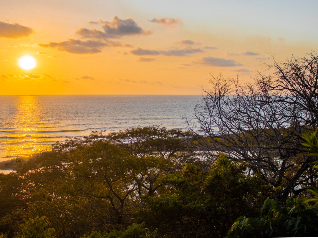 Hotel Boutique Lagarta Lodge主图