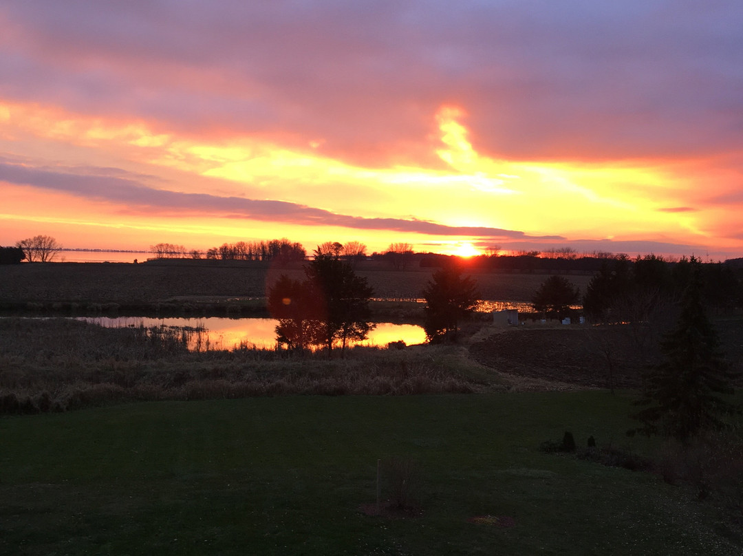 Bye the Bay Bed and Breakfast主图