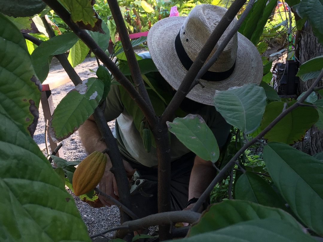 Akali Experiences-La Cruz de Huanacaxtle必去景点