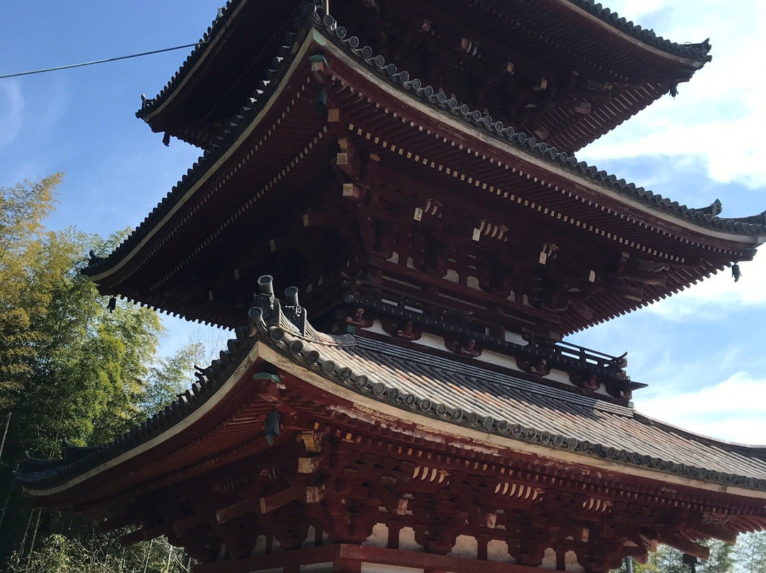 Furuderameguri Course-尾道市必去景点
