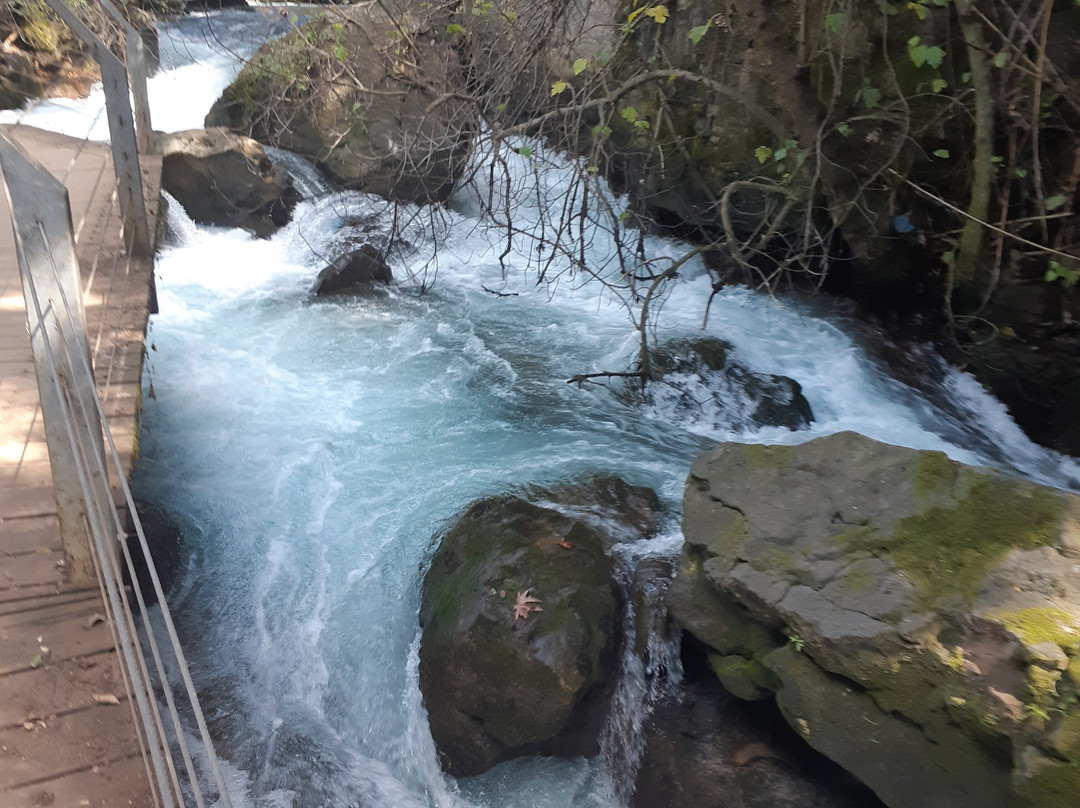 Hermon Stream Nature Reserve-Merom Golan必去景点