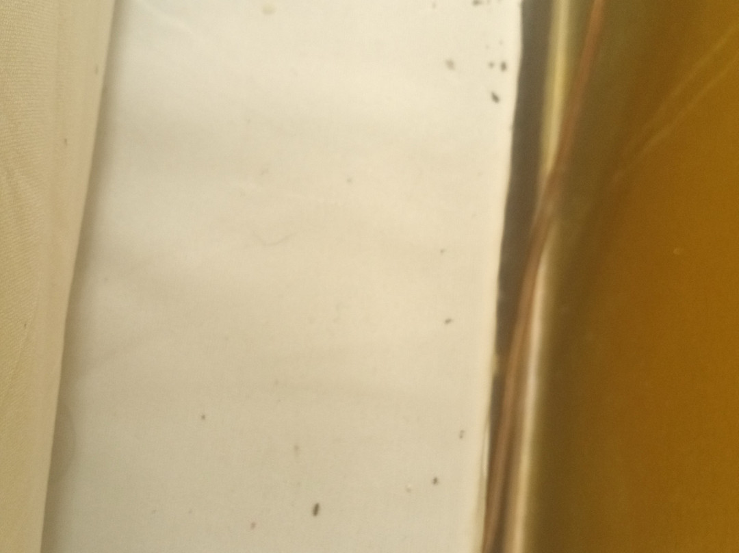 Rodeway Inn & Suites主图