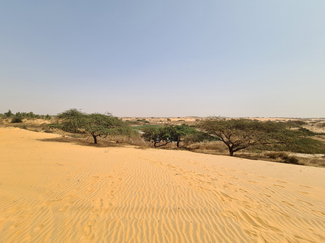 Lompoul Desert景点图片