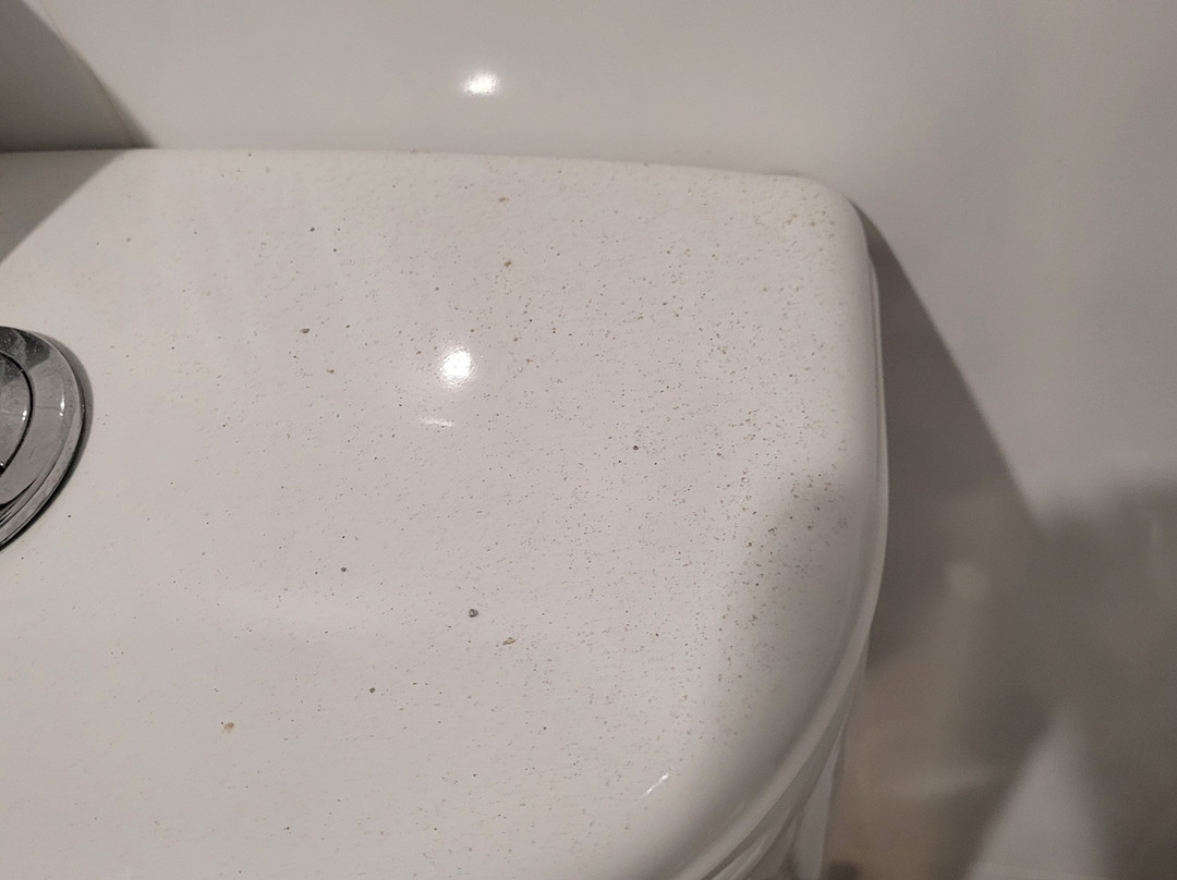 棕榈岛汽车旅馆主图