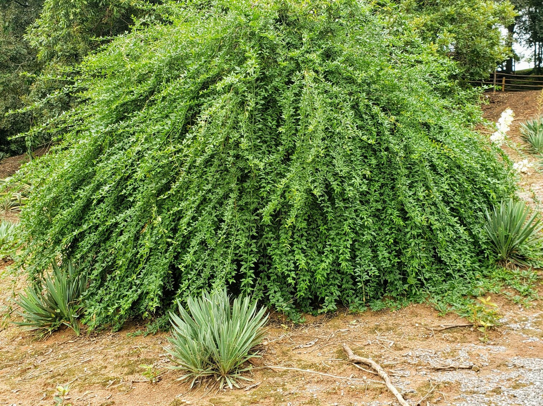 Pousada Recanto Primavera主图