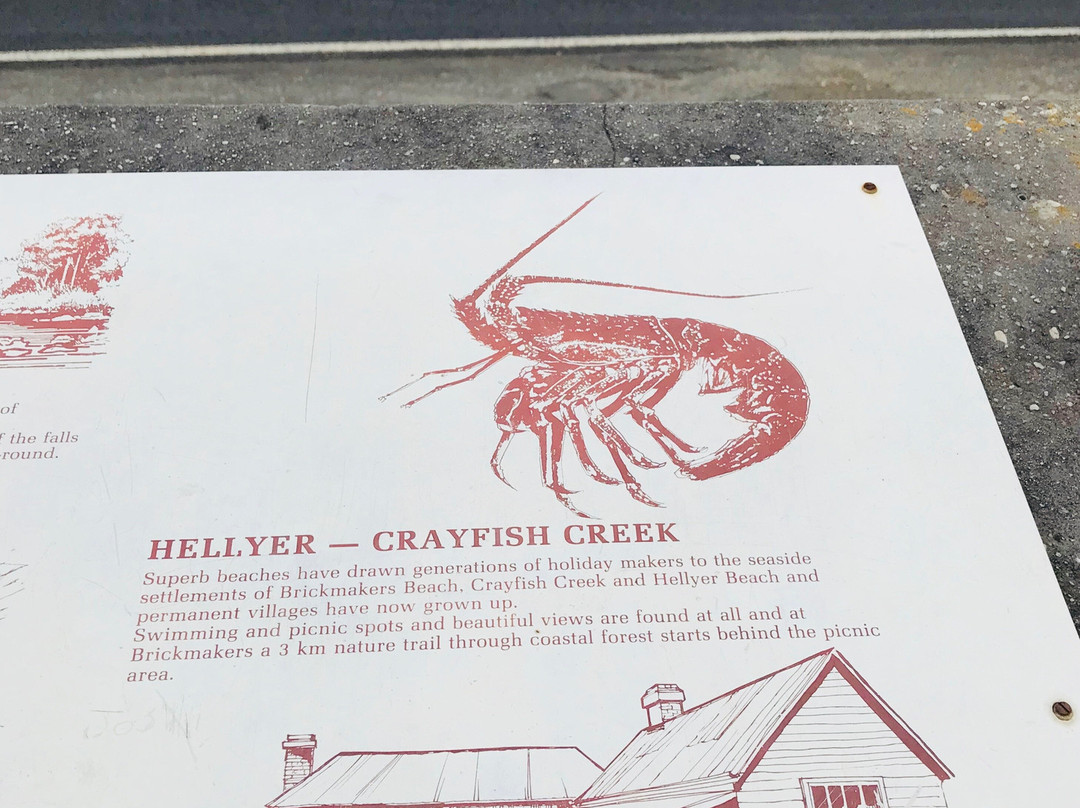 Trethewies Lookout-斯坦利必去景点