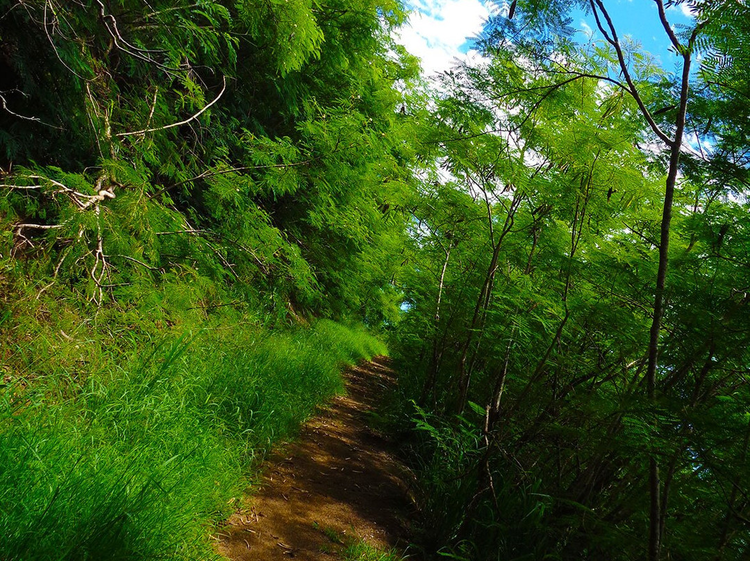 Notre Dame Du Pacifique-努美阿必去景点
