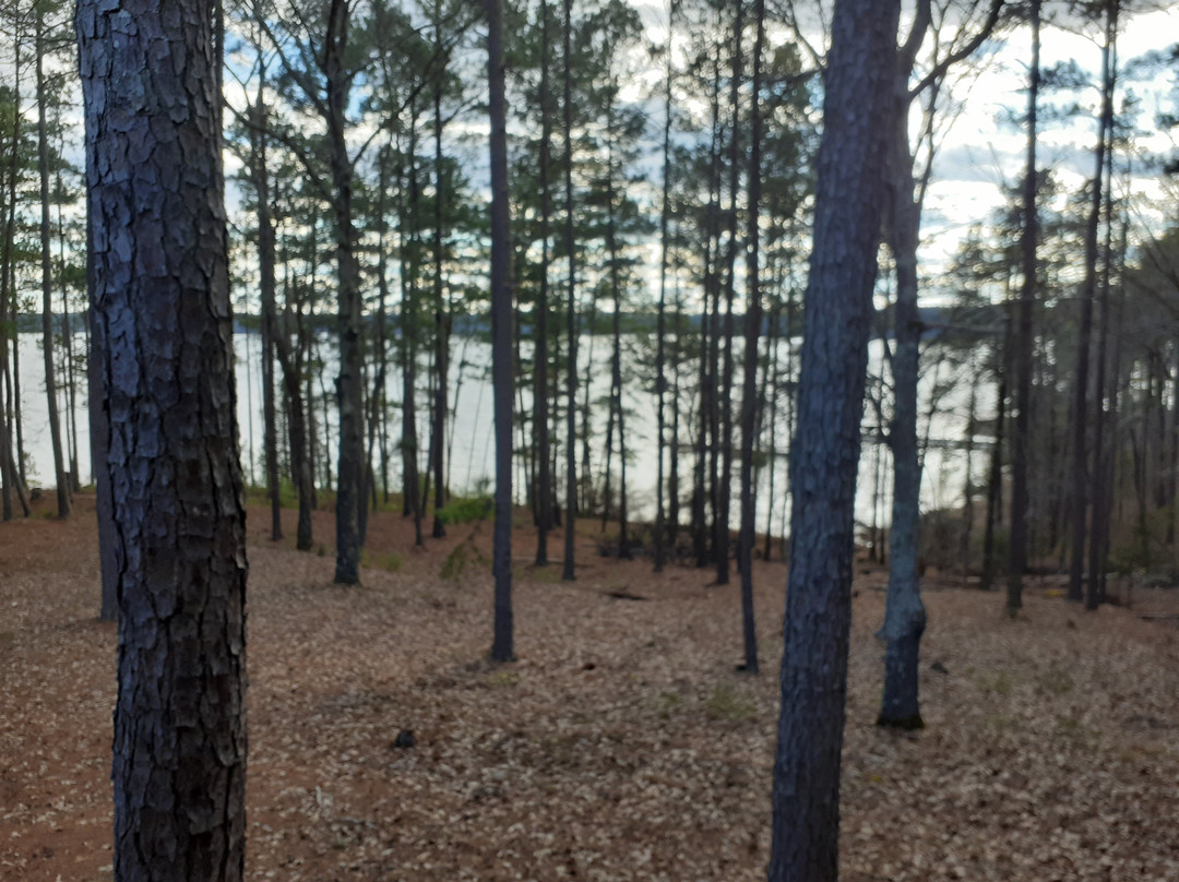 Hickory Knob State Park Lodge主图