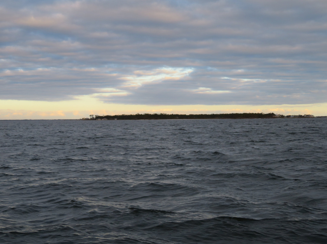 Back Bay Charters-橙色海湾必去景点