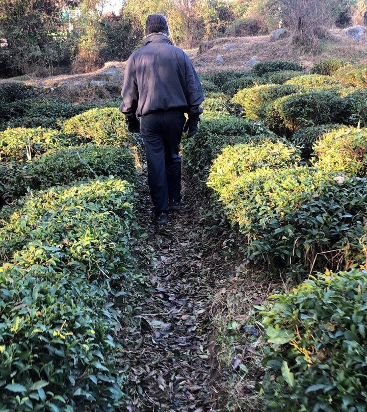 Colonel's Resort主图