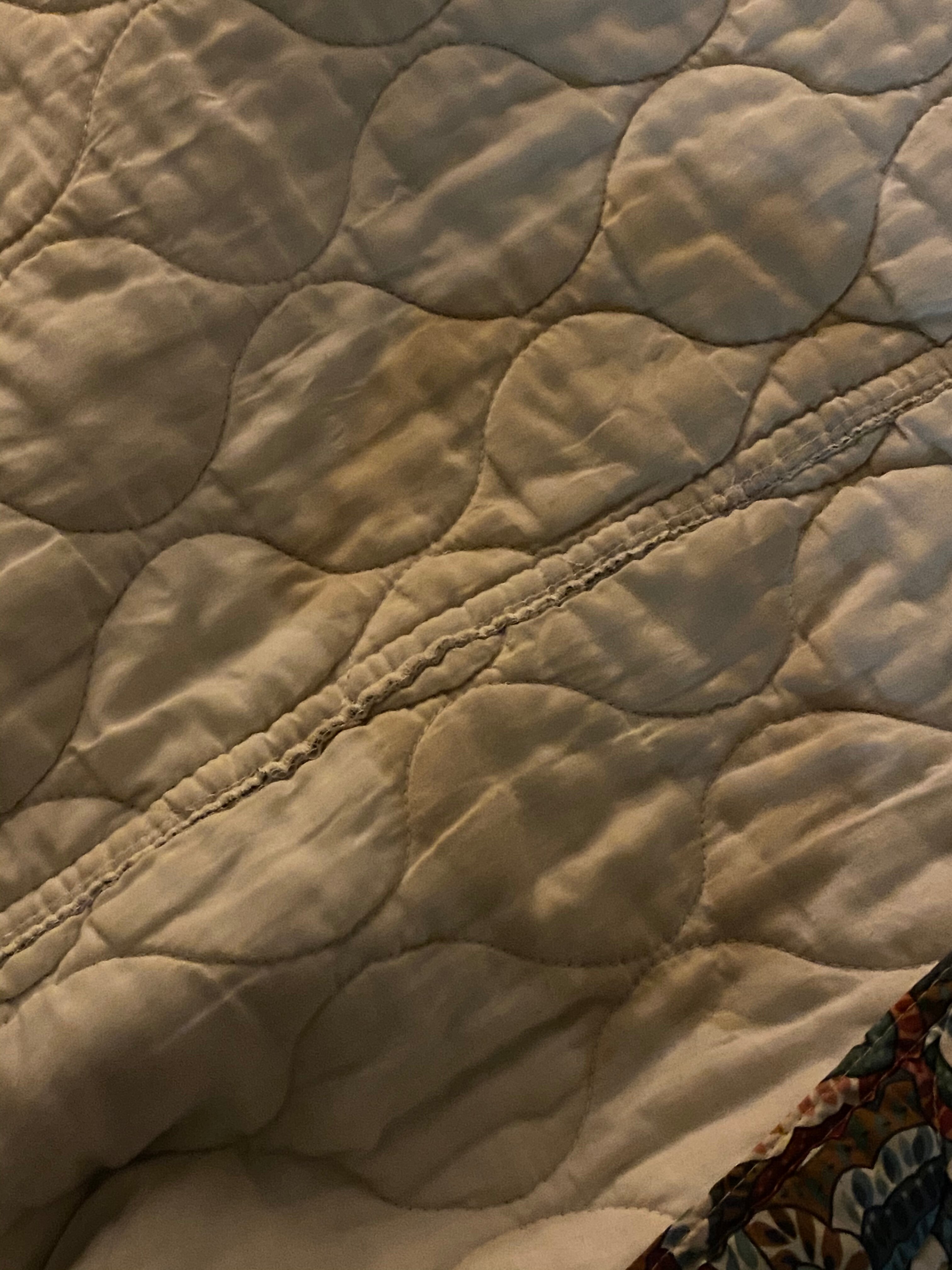 Calipatria Inn & Suites-官方