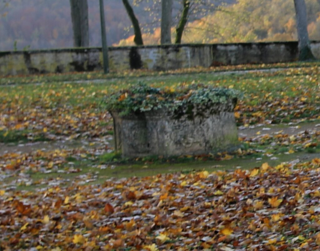 Margelle Du Puits Buffon景点图片