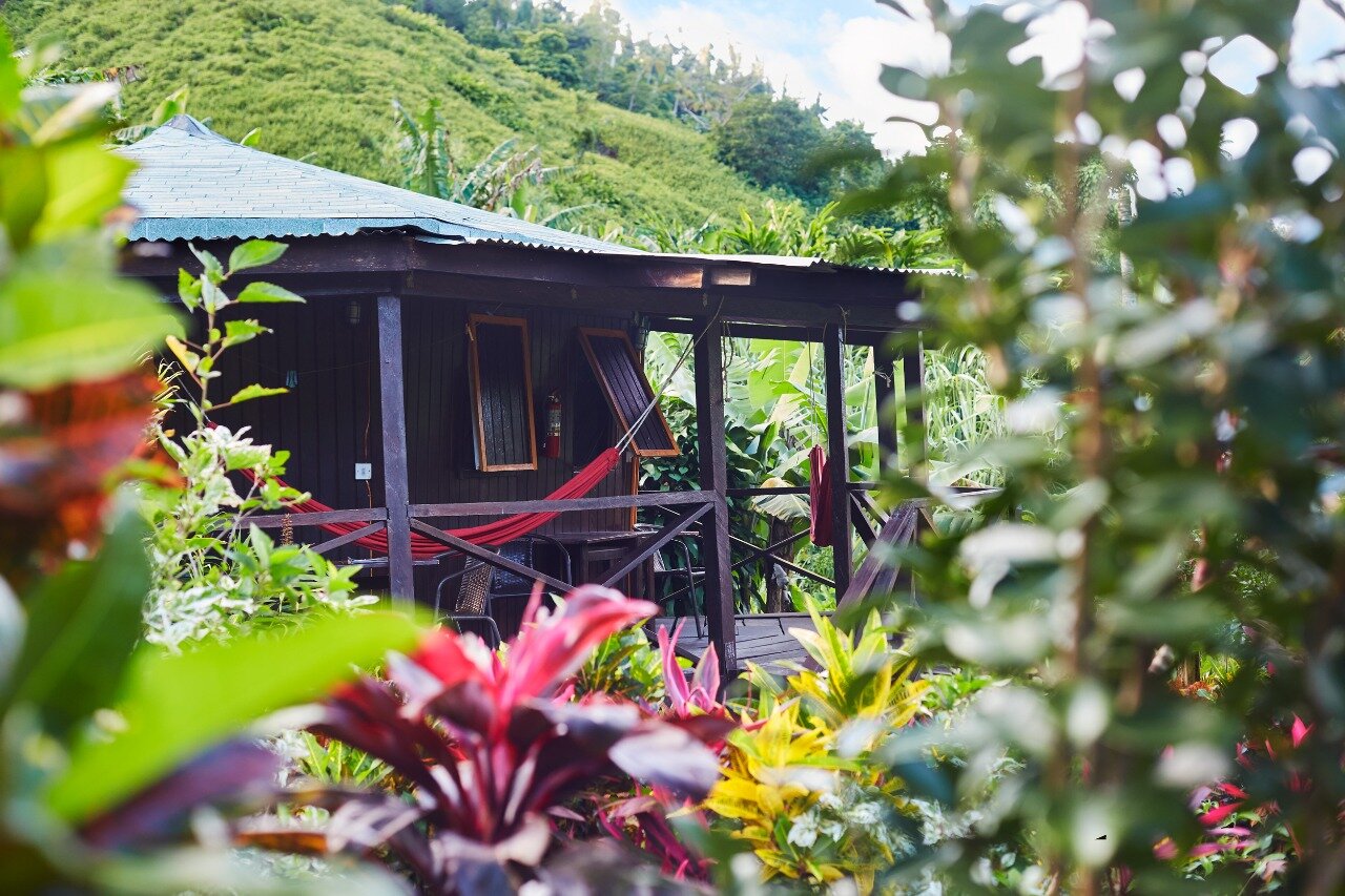 Hibiscus Valley Inn-官方