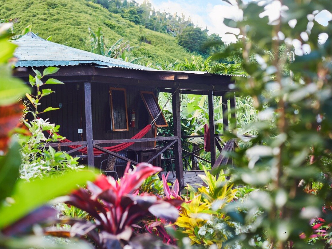 Marigot酒店住宿-Hibiscus Valley Inn