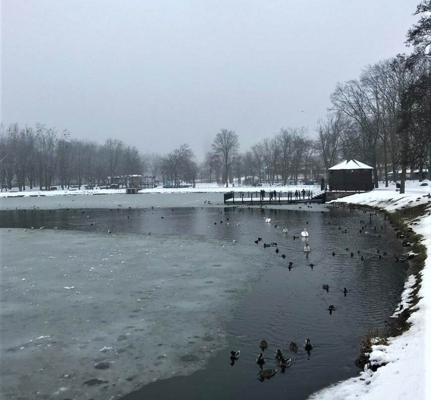 Park Tysiaclecia景点图片