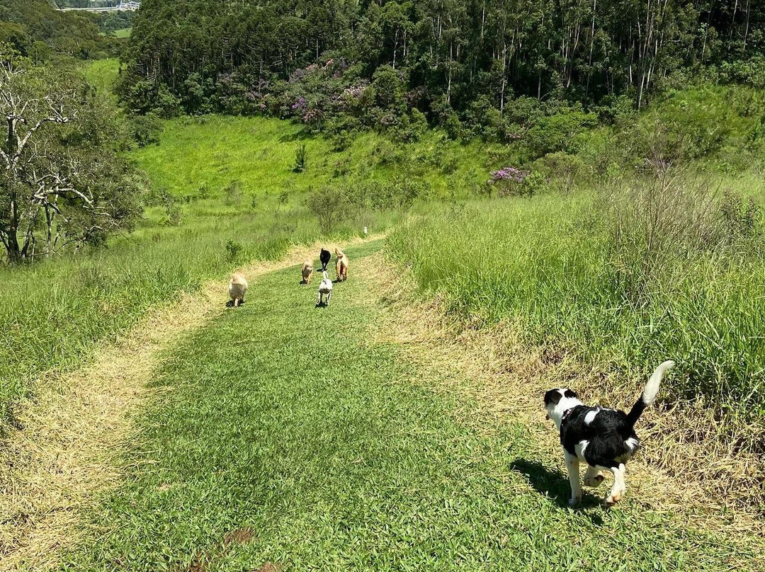 Pousada Gaia Viva主图